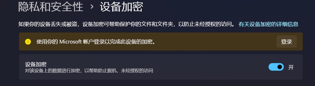 设置中设备加密选项的截图