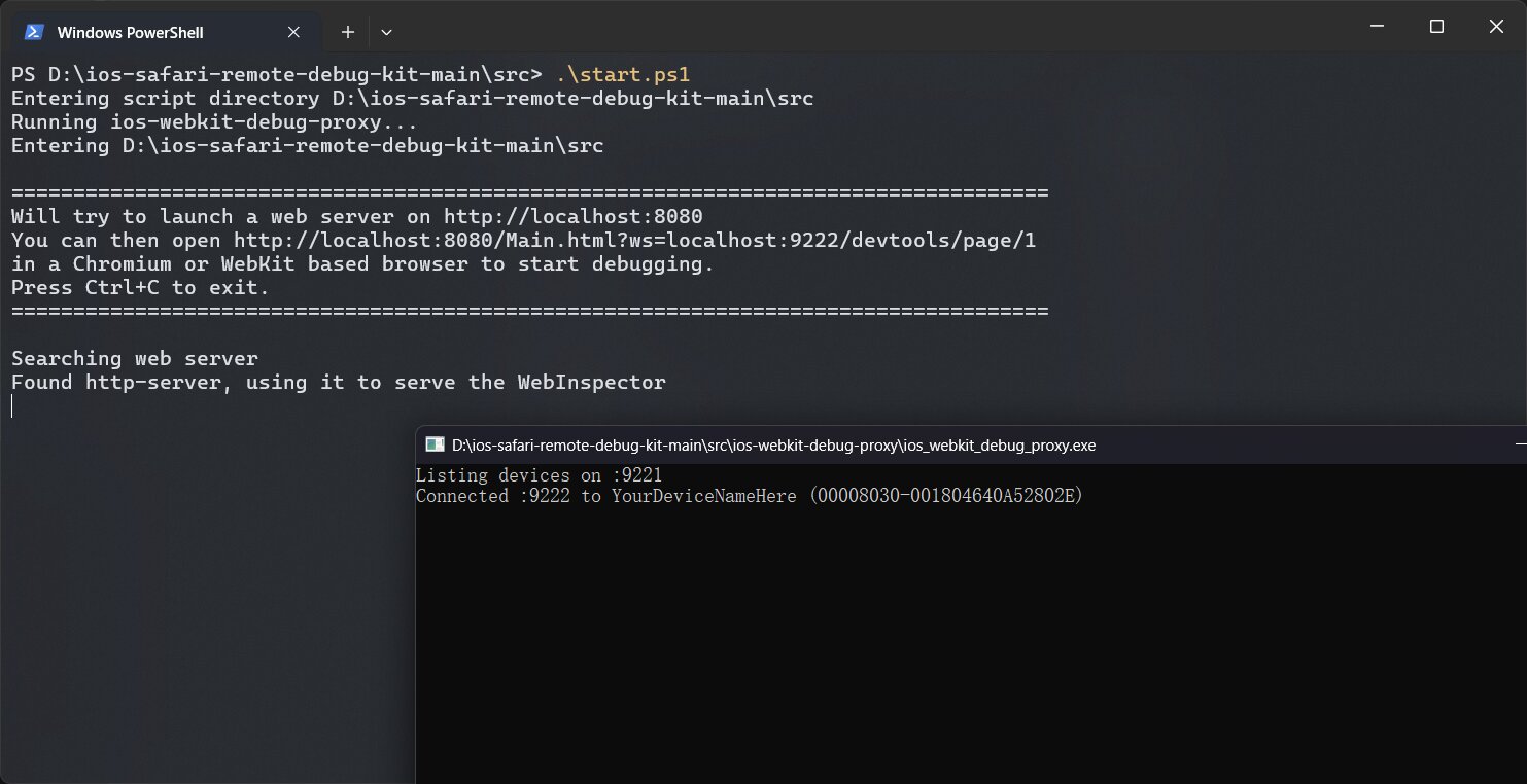 启动 debug kit 后的输出